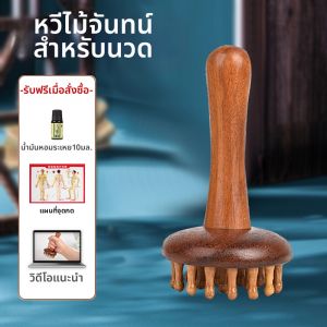 แปรงจุดสะพานคอต้านทานความชื้นสำหรับรักษาสุขภาพแบบเต็มร่างกายจากมลายู แปรงจุดสะพานคอสำหรับผิวหนังและเสริมสุขภาพ