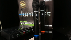 RAYHAYES Dual Channel Wireless Microphone HD Sound Quality for Karaoke Videoke Performance