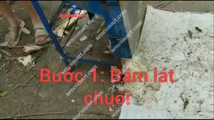 Cách băm chuối nhỏ trộn cám cho gà vịt từ máy băm cỏ đa năng