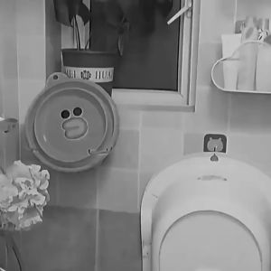 Viên thả bồn cầu Nhật Bản Bashiyomi 2 trong 1 làm sạch sâu khử mùi hương thơm hoa hồng