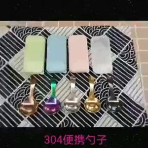 304 Stainless Steel Portable Mini Spoon and Fork Set withOrganizer-Short Handle Student Dessert Fruit Tableware