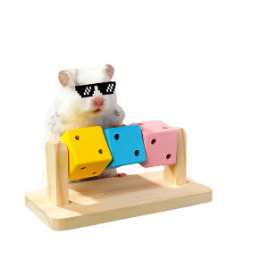 VOA | Entertaining Pet Toys for Hamsters Golden Hamsters and Guinea Pigs