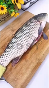 COSY Peeler Pisau Pengupas Sisik Ikan Fish Skin Brush Scraper Alat Pengikis Ikan / Alat Pembersih Sisik Ikan