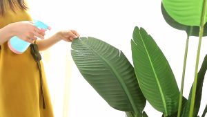160cm Tinggi 25 Daun Pokok Skybird olive Plant Banana Tree Leaf Artificial Tree Monstera eucalyptus bamboo
