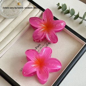 Sweet Egg Flower Hairpin Beach Travel Outing Bangs Clamp Retro Decorations Simulated Flower Hair Accessories Side Clip