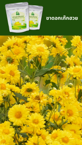 ชาดอกเก๊กฮวย ตราไร่กฤติยา (Chrysanthemum Floral Tea)