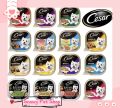 Cesar Dog Tray 100g Dog Wet Food  Dog Food Wet Meat 85g / 100g. 