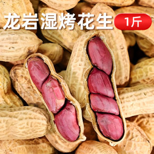 Rocky Mountain Wet Roasted Peanuts Special Product Purple Coat Boiled Shell Red Coat Peanuts Fried Goods Snacks under Wine Dishes