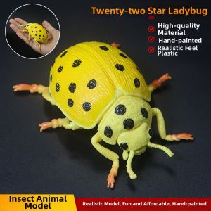 Educational Insect Models Insects Toy