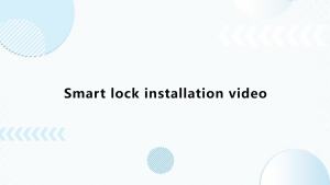 K10 Spherical Round Knob Smart Lock Tuya Bluetooth Biometric With Fingerprint/Mechanical Key/APP Unlock Easy Replacement
