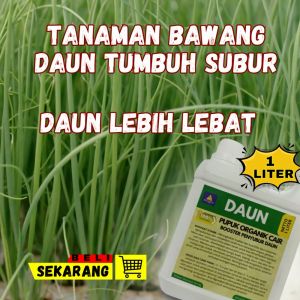 Pupuk Cair Untuk Bawang Daun / Pupuk Khusus Daun Bawang / Pupuk Booster Penyubur Tanaman Bawang Daun