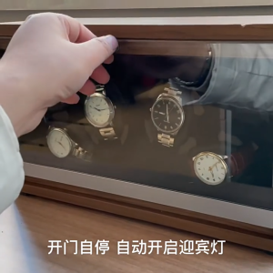 Watch Winder Box for Automatic Watches Double Winders Quiet Japanese Motor 5 Rotation Mode Luxury Gift Wood LED High-End