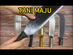 TM / SABIT RUMPUT PAID / PISAU KAYU / KEBUN / HUTAN POTONG KAYU / PISAU SABIT / STAINLESS STEEL  / READY STOCK / A180.16 Sharp Scissors Sharp Stone Sharp Sword Rigid Saw Sharp Tool - Lazada