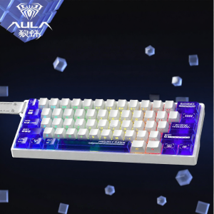 AULA | Gaming FPS Customizable Colorful Transparent Magnetic Mechanical Keyboard