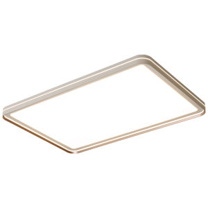 FANZHEN | Full Spectrum LED Ceiling Light