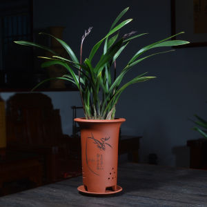 Straight Mouth Purple Sand Orchid Flower Pot Ceramic Clivia Orchid Orchid Special Basin Household with Tray Yixing Handmade