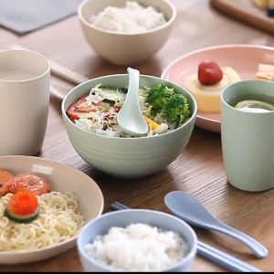 Estation - MANGKOK WHEAT STRAW BOWL | MANGKUK PLASTIK MICROWAVE WARNA WARNI | BPA FREE