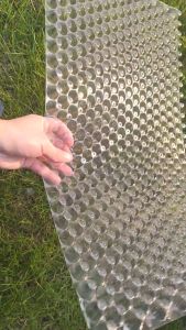 Combo 50-100 khay gieo mạ ném khay gieo mạ 561  lỗ tiện dụng khay gieo lúa nhựa dẻo tăng năng suất ít sâu bệnh Mạnh Phát