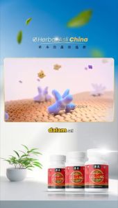 Li Liang Herbal Obat Diabetes Kencing Manis Kolesterol isi 30 Kapsul Dan 60 Kapsul Resmi BPOM Ampuh