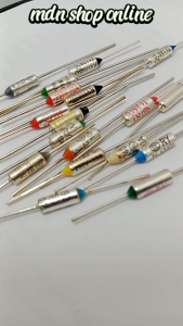 Thermofuse 10A Fuse Magic Com Thermal Termofuse 10A 250V 10PCS