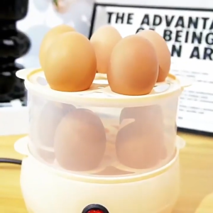 7 Egg Cooker Multifunctional Electric Egg Boiler Automatic Shut Off Hard and Soft Egg Cooker for Breakfast Small Kitchen