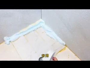 Toilet Cleaner Foaming Cleaner/Fast Active Cleansing & Antimicrobial Action/Disinfectant Spray for Bidet Seat - JC Elise