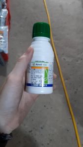 Thuốc Trừ Bệnh Anvil 5SC - syngenta