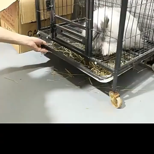 màng nilon bọc lồng tiện dụng dành cho thỏ bọ chó mèo... - T3 PETS SHOP