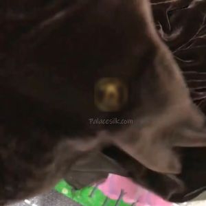 Vải nhung the tơ tằm cao cấp may áo dài siêu mềm mượt và nhẹ nâu đen