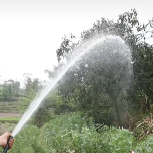 Suminoe Deep Well Pump 2 Inch 2.5 Inch Submersible Water Pump for Farm Irrigation Home Water Supply Well Use