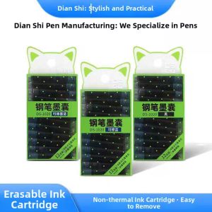 DIANSHI | Creative High Aesthetic Appeal Pen EF Nib