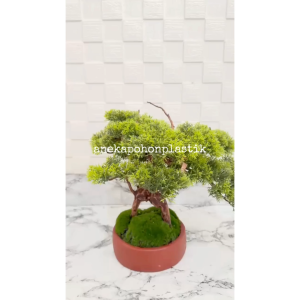 Pohon Bonsai Mini Bonsai Cemara Pohon Hias Pot Bulat Tanah Liat Dekorasi Meja Ruang Tamu Ruang Kantor