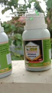Pupuk anggrek agar cepat subur - nutrisi anggrek bulan anti rontok