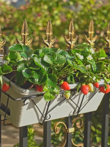 ที่แขวนกระถางต้นไม้ เหลี่ยม ที่แขวนกระถางต้นไม้แบบเหล็ก flower stand แขวนริมระเบียง แข็งแรง ทนทาน รับน้ำหนักได้เยอะ