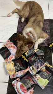 55g (5kg below) Zert Dentacare Dessert Dog Dental Sticks Dog Snack Dogs Treats DR Pet Supplies