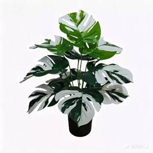 Cây Monstera Giả Màu Xanh Lá Cây Với Lá Sọc Trắng Cây Cảnh Trang Trí Nhân Tạo Trong Chậu Để Trang Trí Nhà Cửa