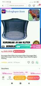 GEBER T4 D2 Ring Ayam Bangkok Keber Arena Ayam Spon Kalangan Ayam