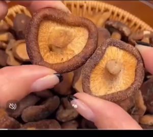 【CRISPY】Freeze Dried Mushroom SHITAKE Cendawan Kering Ready To Eat 香脆香菇 健康