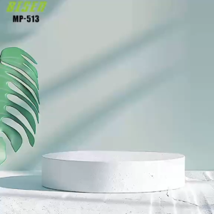 BISEN MP-153 Wireless Mic: A Low-Delay Microphone for Vlog & Live Stream