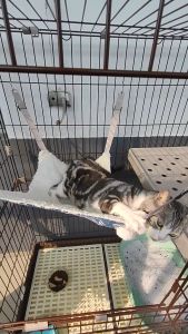 Võng treo chuồng cho Mèo bằng 2 lớp vải lông và canvas (mẫu mới) - Hara Pet Store