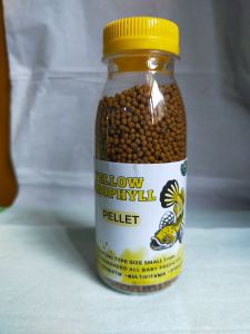 BEST PRODUK MARULIODES Pelet Ikan Channa Yellow Sentarum PROGRES YELLOW