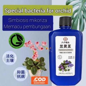 KING LAN LING PUPUK khusus anggrek pemacu pembungaan pada Orchid