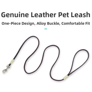 petlimit | Anti-Slip Off Dog Leash for Small to Large Dogs