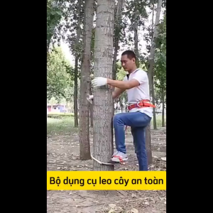 Guốc Trèo Cây Kèm Dây Đai – Dụng Cụ Leo Cây Kim Loại Dày Hỗ Trợ Thu Hoạch Cắt Tỉa Size 22–45cm / 28–60cm