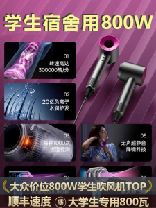 High-Speed Negative Ion Hair Dryer 800W Home Use Low Power University Special Fan for Hair Care Professional Grade Blow Dryer