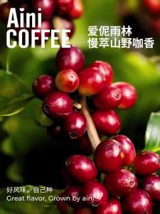Aini garden | Yunnan Puer Coffee Beans Italian Blend Low Acid High Oil 454g