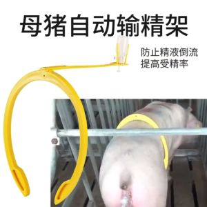 Sows Insemination Clip Insemination Bracket Sows Artificial Insemination Insemination Clip Holder sow back clamp