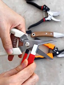 P PMC Đá mài cắt làm vườn hợp kim mài nhiều lưỡi dao dụng cụ đa năng