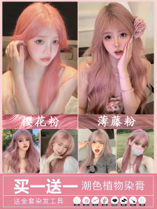 Cherry Blossom Powder Hair Dye Thin Vine Pink Purple 2024 New Arrival Rose Pink Brown Hair Color Cream Plant Natural Female Pure Genuine Goods