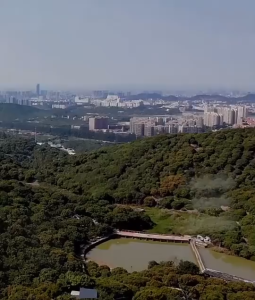 Tree Pruner / 3M 4M Sections Extendable Tree Trimmers / Gunting Taman